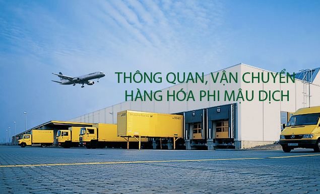 Khai Báo Hải Quan Hàng Phi Mậu Dịch: Bí Quyết và Lưu Ý Để Thành Công