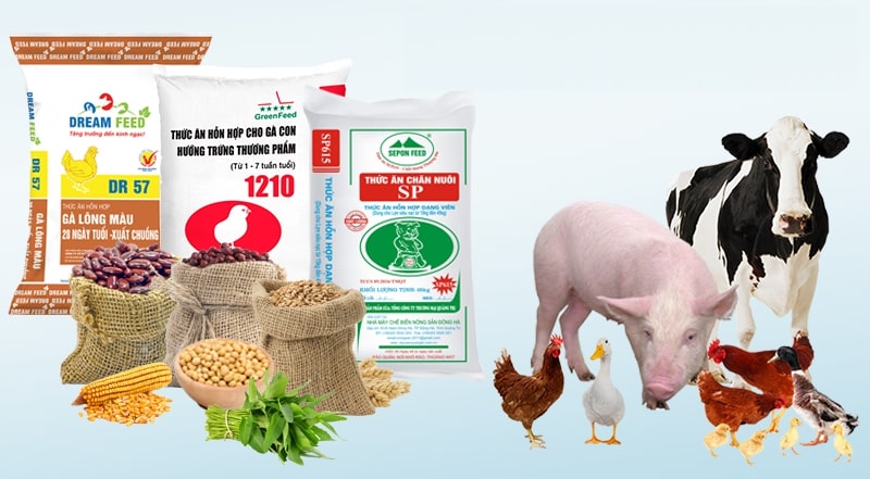 Thủ tục nhập khẩu thức ăn chăn nuôi cho gia súc, gia cầm
